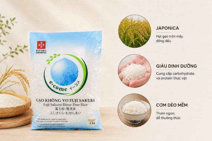 Odac-diem-noi-bat-cua-gao-Nhat.jpg